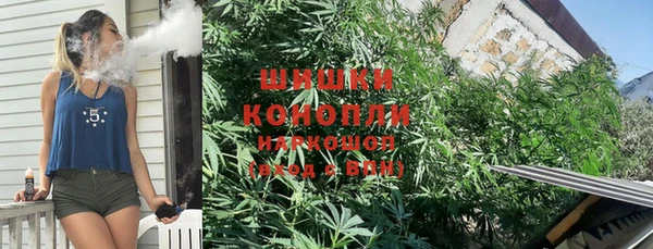 тгк Инта