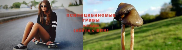 тгк Инта