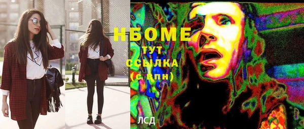 тгк Инта