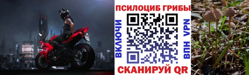 Псилоцибиновые грибы Psilocybine cubensis Купить где Вихоревка